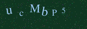 Validation image