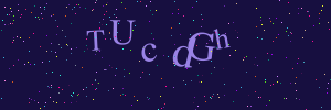 Validation image