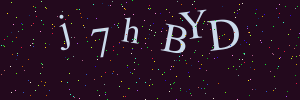 Validation image