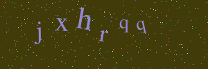 Validation image